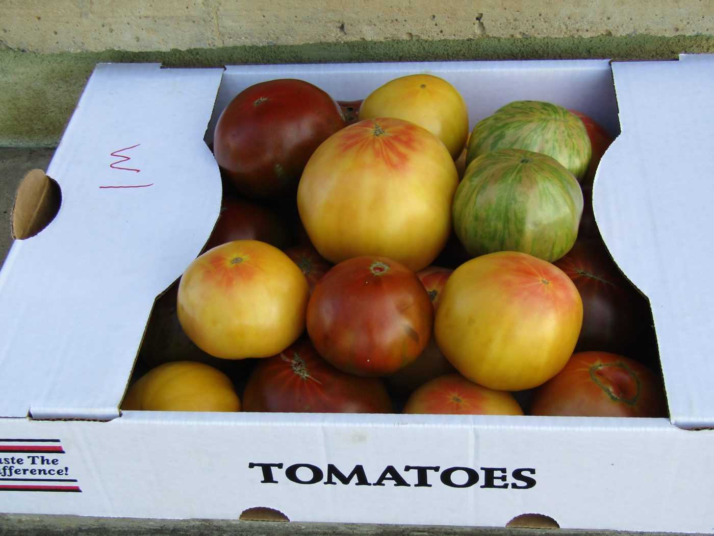A box of ripe heirloom tomatoes in red, yellow, and green